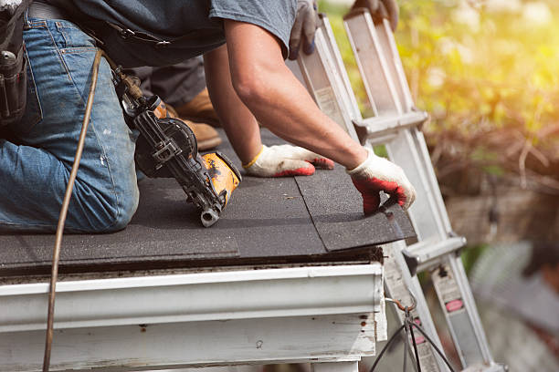 Best Roof Gutter Cleaning  in Terre Haute, IN